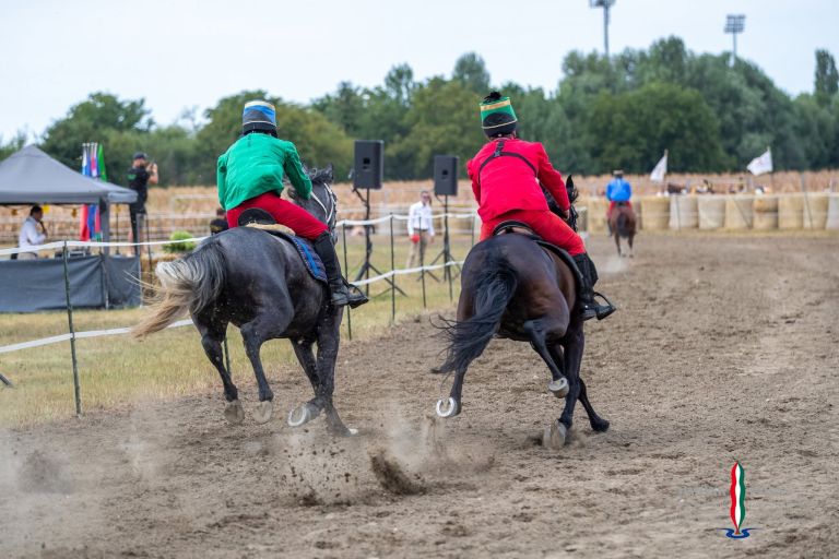 pomurski-galop, drustvo-za-zascito-konj