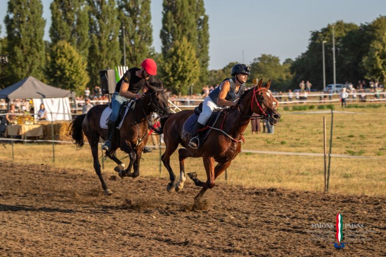 pomurski-galop, drustvo-za-zascito-konj