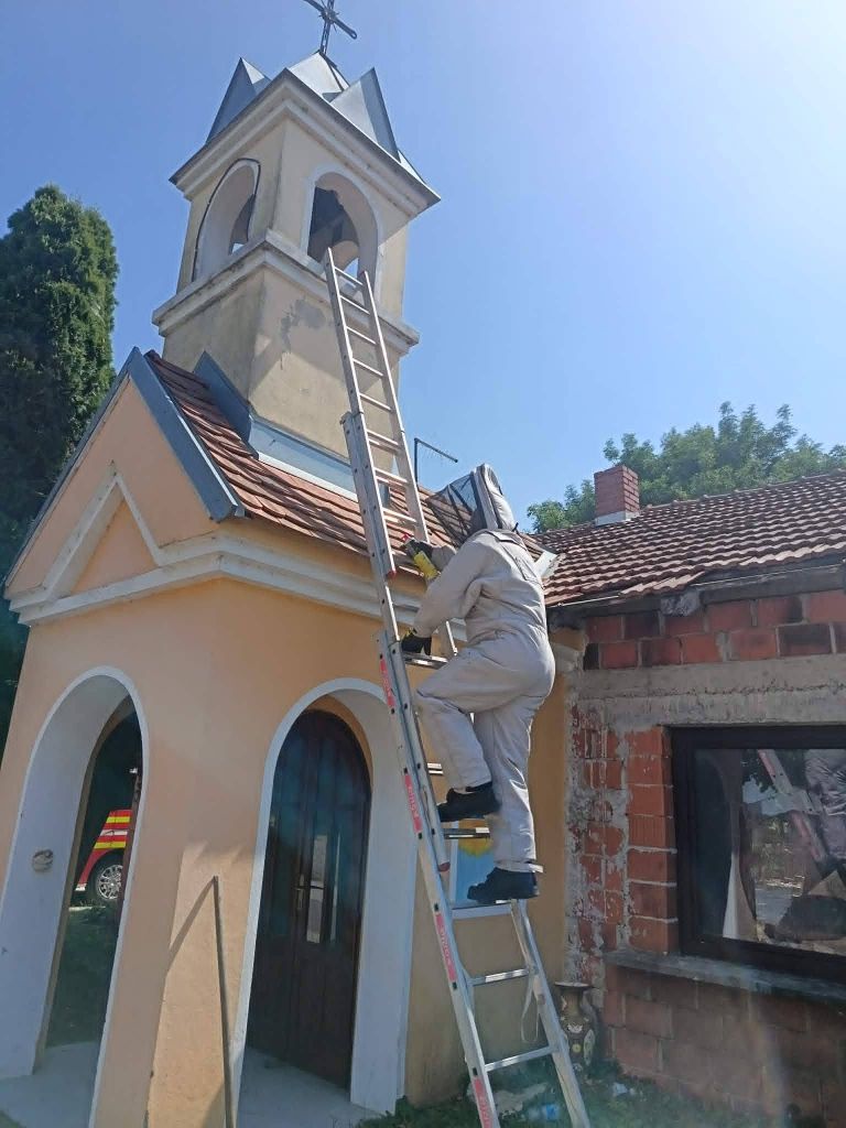 pgd-crensovci, srsenja-gnezda