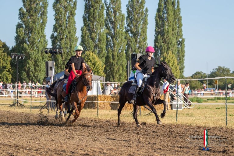pomurski-galop, drustvo-za-zascito-konj