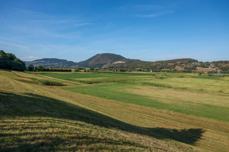 susa, polja