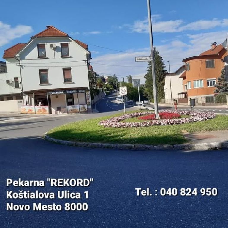 rekord 3.jpg