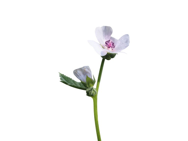 shutterstock_2504054999.jpg