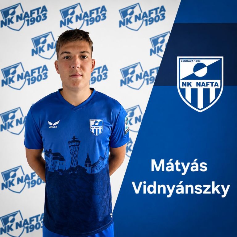 Matyas Vidnyanszky, nafta