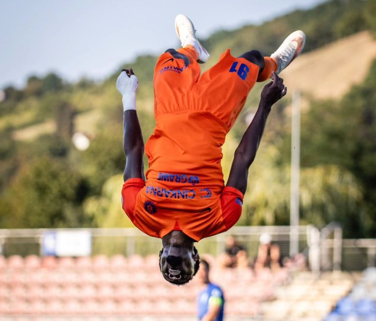 nk-celje, liga-prvakov