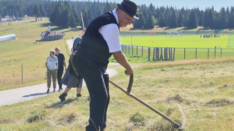 zrece, rogla