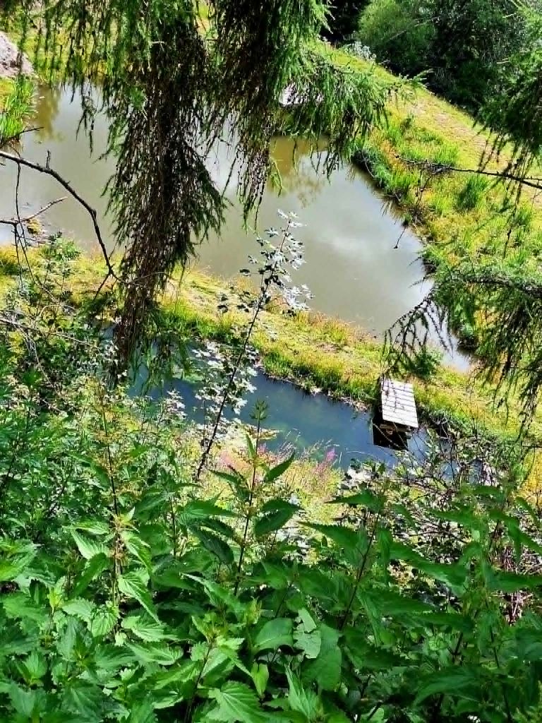 Akumulacijsko jezero - zbiranje vode.jpg
