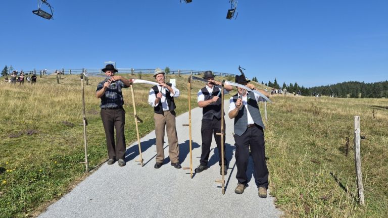 zrece, rogla