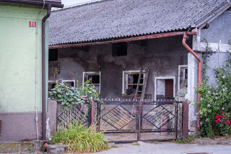 gospodarstvo, marjan-špur, iljaševci, pogin-govedi, mučenje-živali