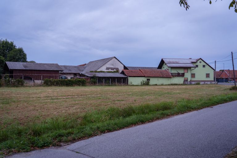 gospodarstvo, marjan-špur, iljaševci, pogin-govedi, mučenje-živali