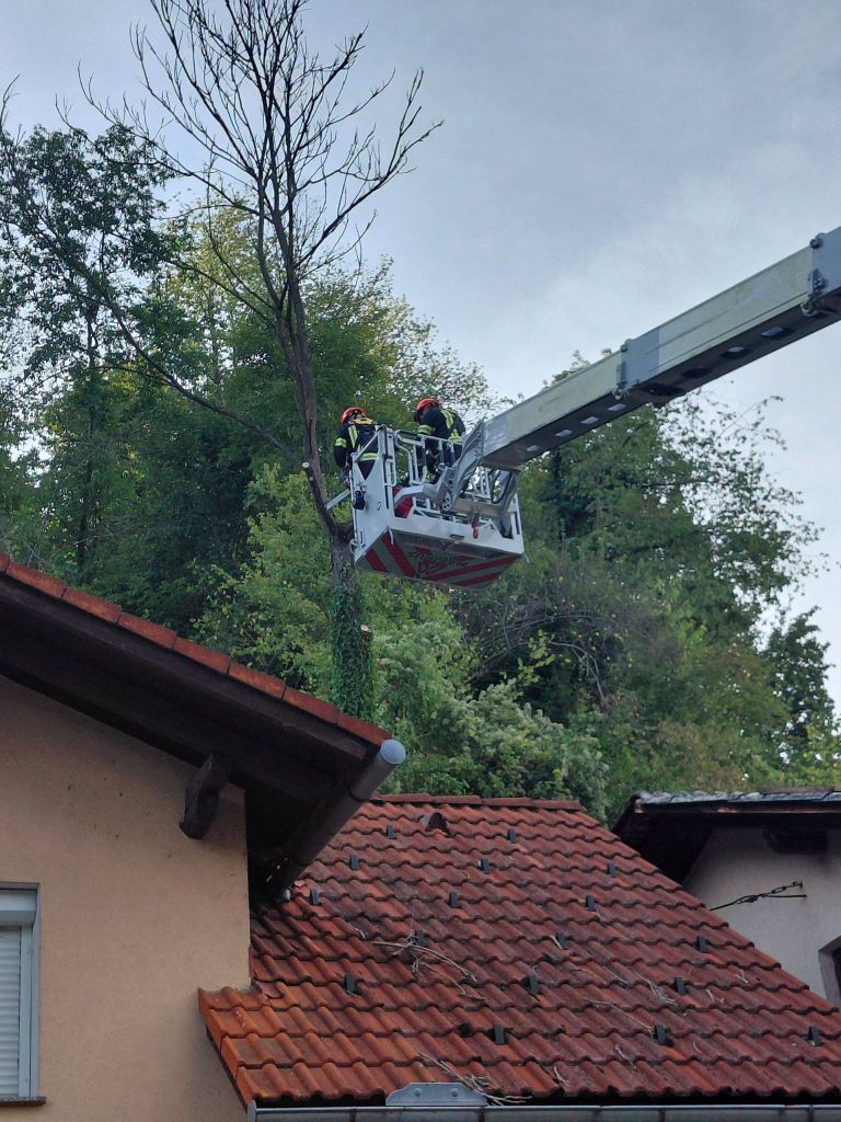 pgd sevnica.jpg