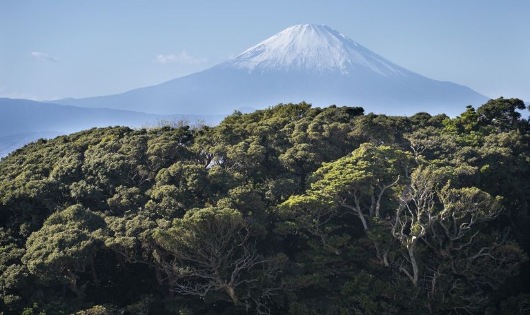 gora fuji.jpg