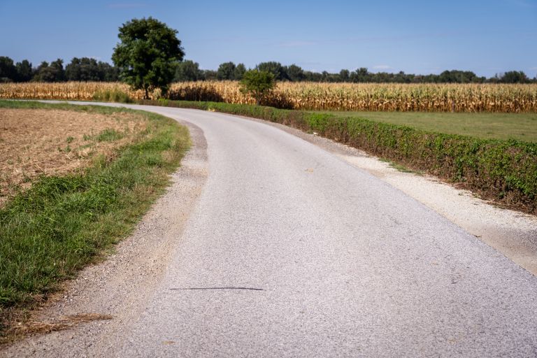 cesta, veržej, bunčani