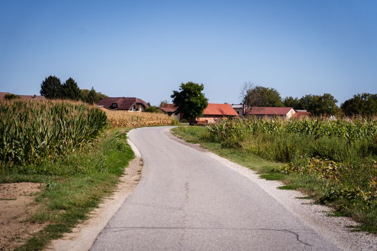 cesta, veržej, bunčani