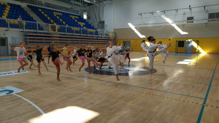 karate