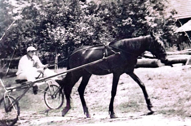 jože-sagaj, kasaštvo