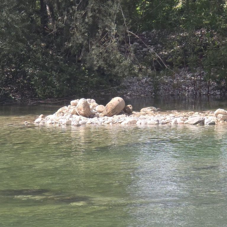 bomba, sava