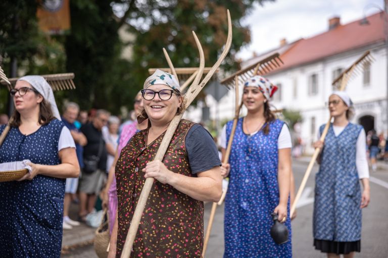lendava, lendavska-trgatev