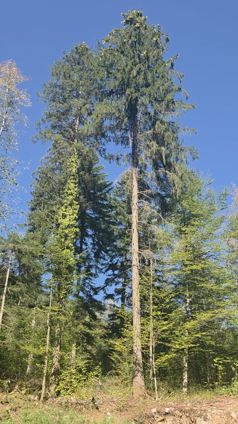 pot-pod-stojno