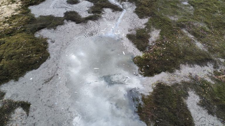 pogin-rib, ormosko-jezero