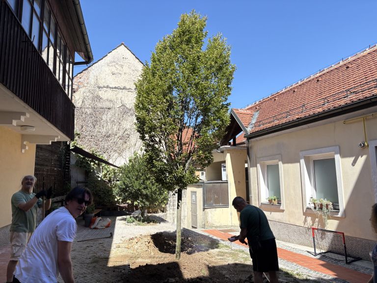 novo-mesto, trznica
