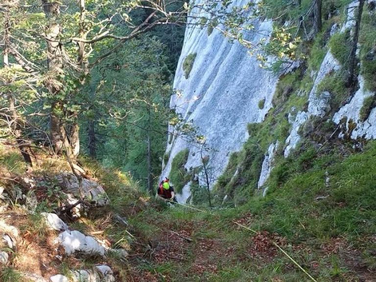 iskanje, pogresana-oseba
