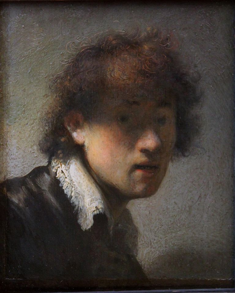 Rembrandt se po 80 letih vrača domov