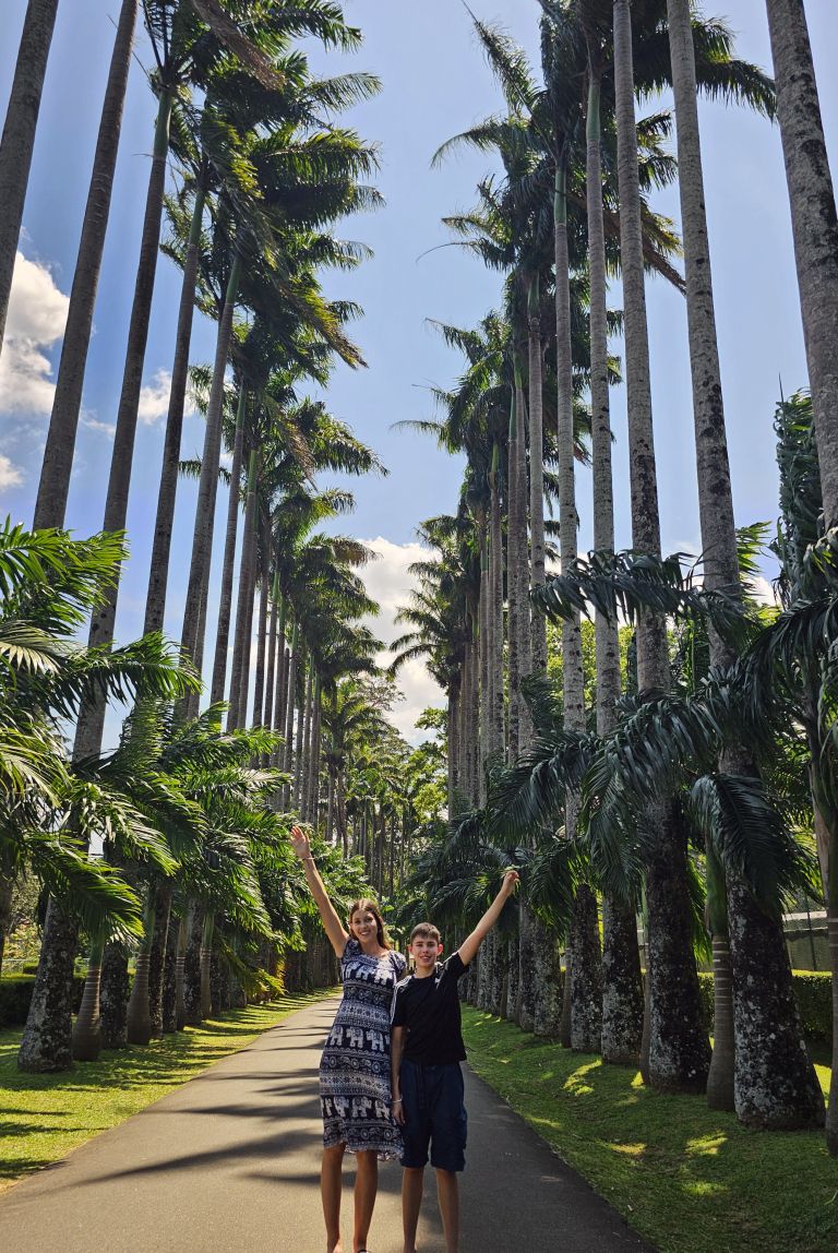 palme
