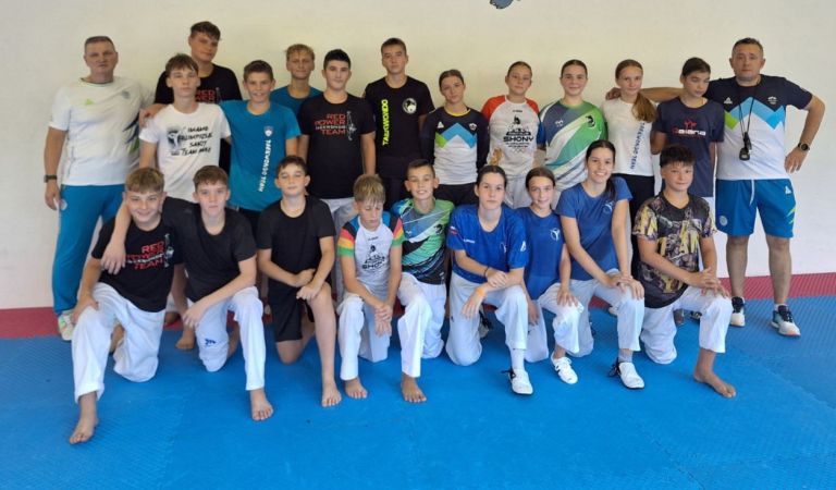 boksarji-na-ligi, taekwondoisti-na-pripravah