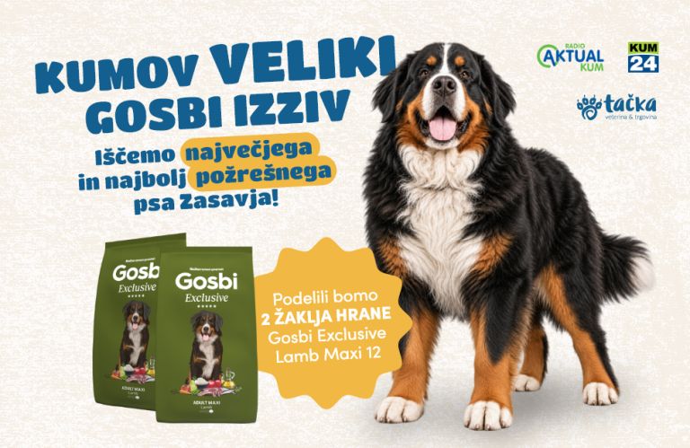 Kumov Gosbi izziv