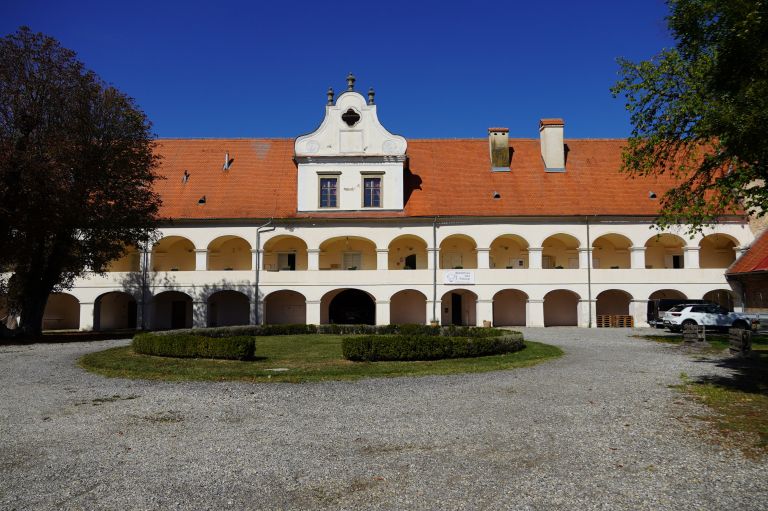 ris-rakican, waldorfska-sola