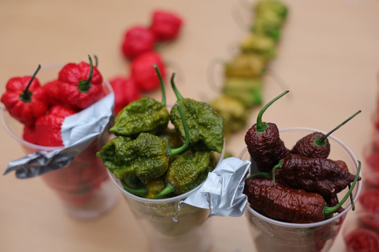 sedmi-smarski-cili-bbq-fest, cili, zlati-habanero, mednarodno-tekmovanje, league-of-fire, karel-hladik, matic-vizjak