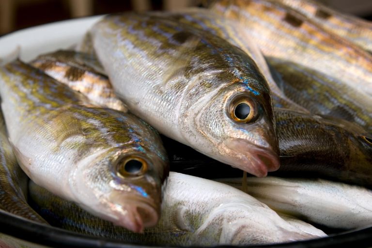 Menole – drobne jadranske ribe polnega okusa