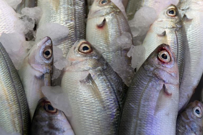 Bukva – nekoč priljubljena ljudska hrana