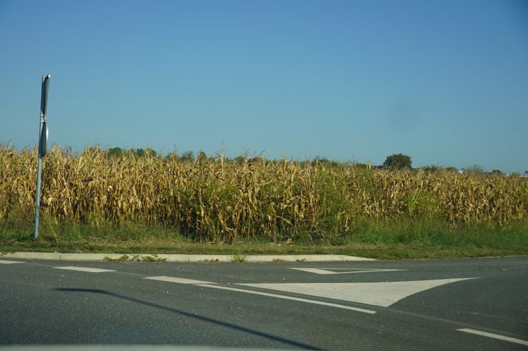 dan-koruze, dan-koruze-2026, rakican, biotehniska-sola-rakican, koruza