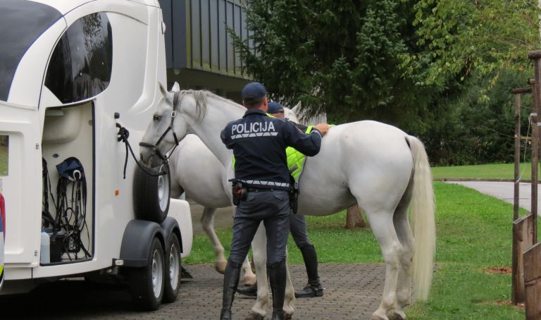 Policist s konjem