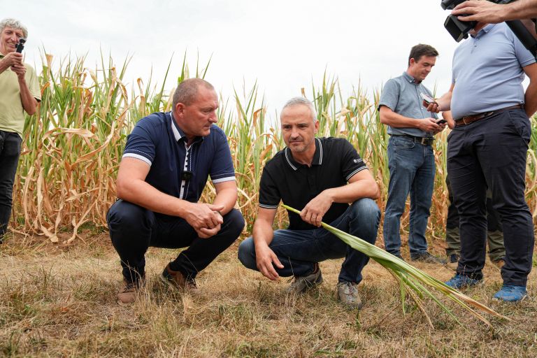 janez cigler kralj susa-JK.jpg