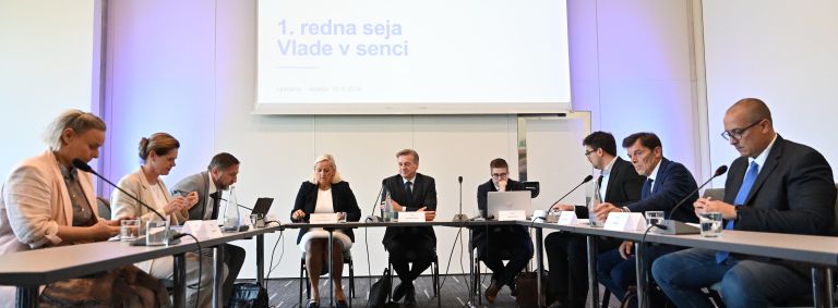 vlada v senci.jpg