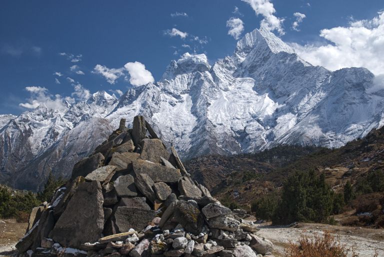 orangetigra-nepal-5282909.jpg