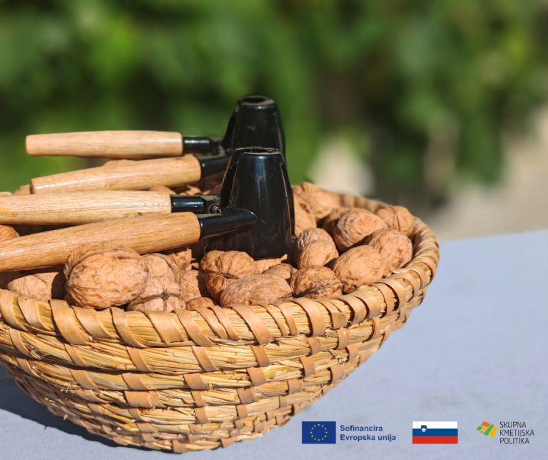 ekoloska-kmetija-bavec