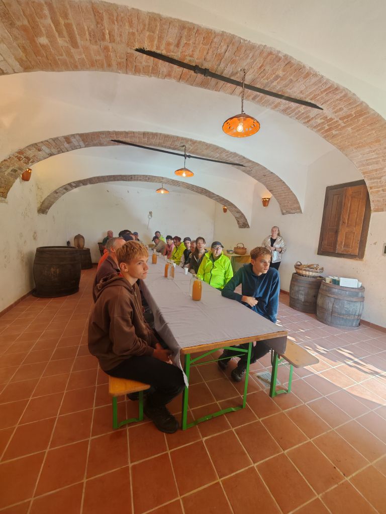 ekoloska-kmetija-bavec