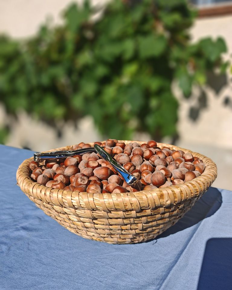 ekoloska-kmetija-bavec