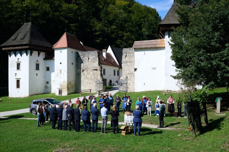 trgatev, najstarejsa-trta