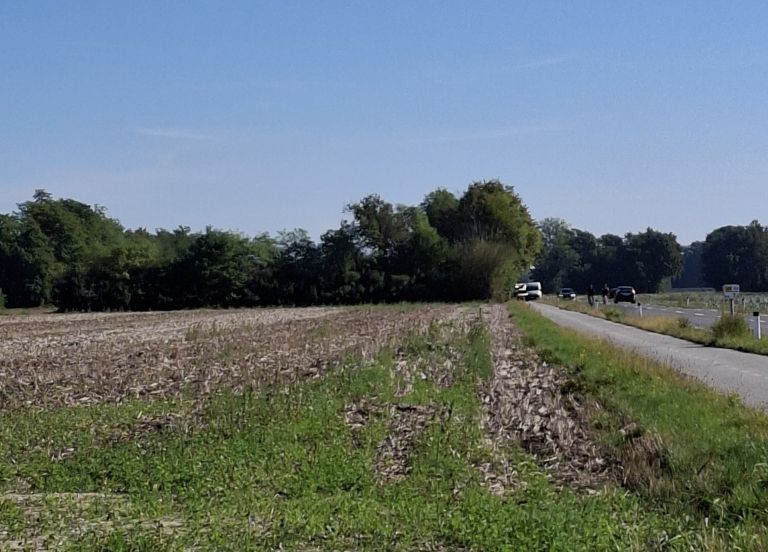 Najdba trupla, Dokležovje, bratonci