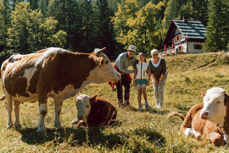 hit-alpinea, kranjska-gora