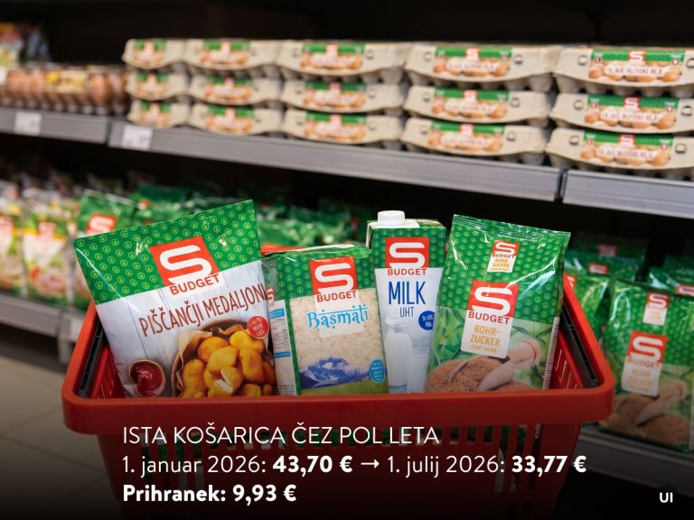 kosarica cez pol leta.jpg