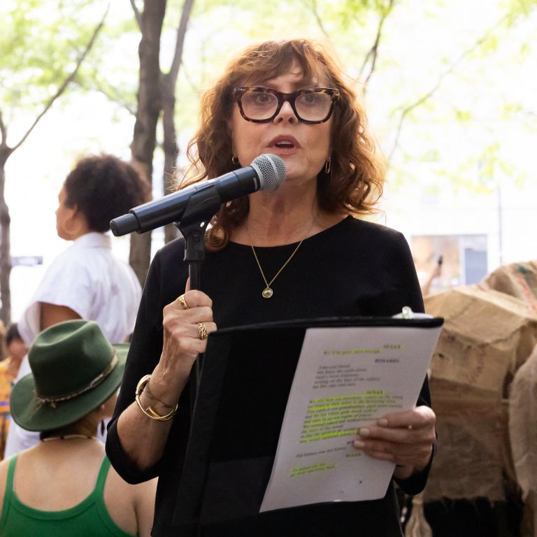 susan sarandon 5.jpg