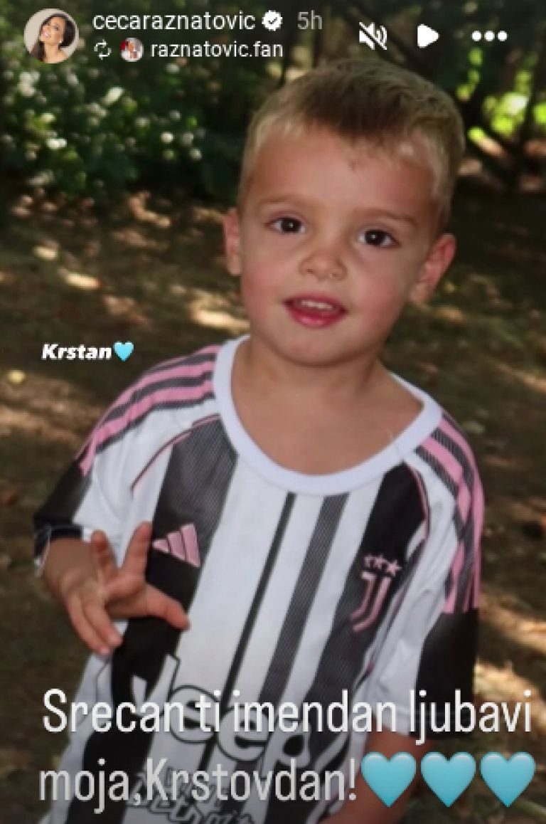 Ceca Ražnatović, Krstan
