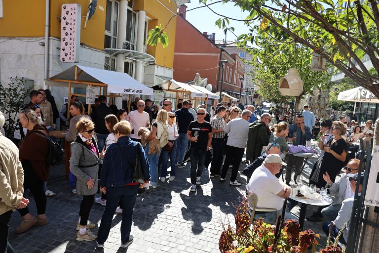 festival-rolce-vince, zavod-celeia, celjska-rolca