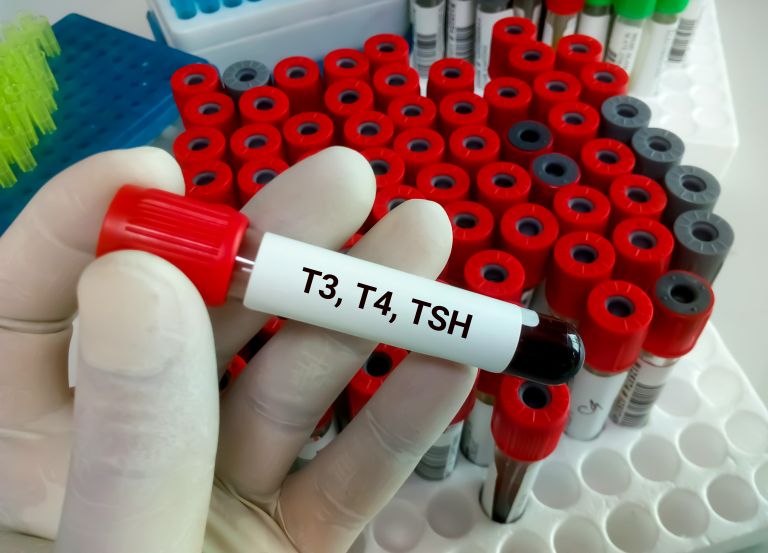 T42.jpg